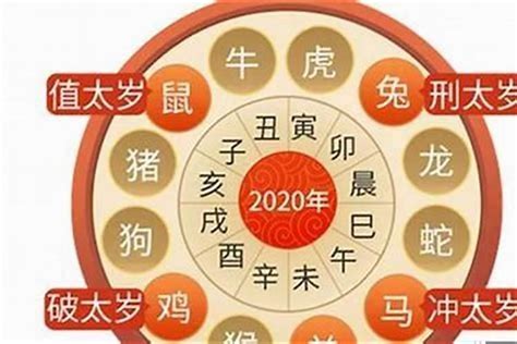 2023属虎|生肖运势2023年运程虎 虎2023年运势详解全年运程完整版